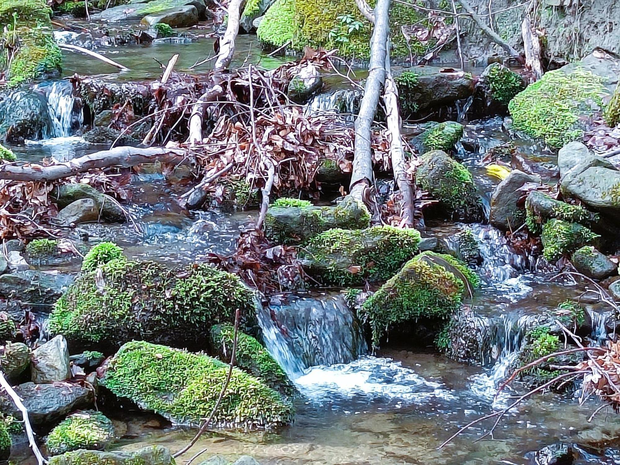 Modry Domek Szczyrk Luaran gambar